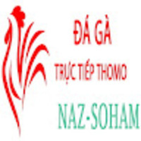 Đá Gà Trực Tiếp Thomo