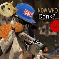 cc_2224
