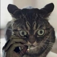 MADCAT