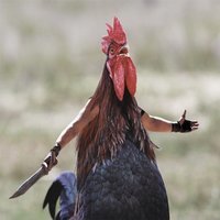 Maktavish94
