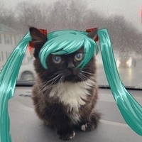 RenMeloman