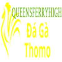 Đá Gà Trực Tiếp Thomo