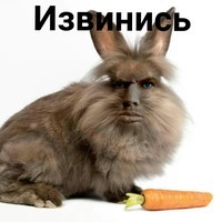 Извинись