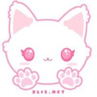 kitten