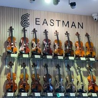 Shop violin cho người mới học