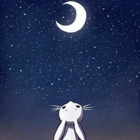 🐰Moon🌔Rabbit🐰