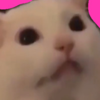 Kolikimikin Licknoini