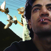 Mentalocre