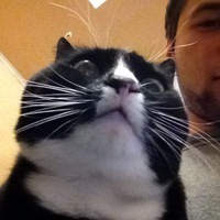 ВоробейЗалупаСыр