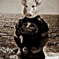 Илья Штейнар