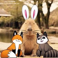 Capybaras!