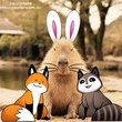 Coub - Capybaras!