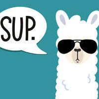 Bread_Llama