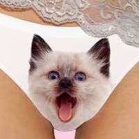 Stupid-Fucking-Pussy