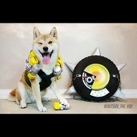 Thatgamingdood