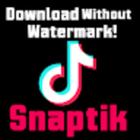 snaptikink
