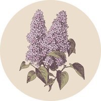 moondust | inspiration