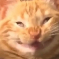 Китя