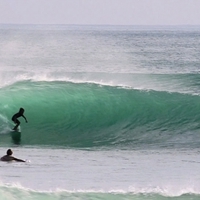 Evolution (New Edition)