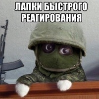 Mouse86