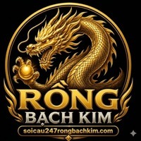 Soi cầu 247 rồng Bạch Kim