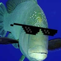 FishExplosion