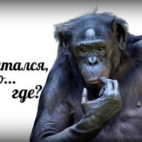 rzamaev