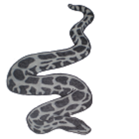 PytonPagom