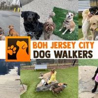 BOH Jersey City Dog Walkers
