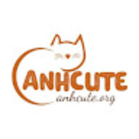 Ảnh Cute Dễ Thương