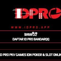 idpro99