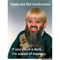 D4nkmems6