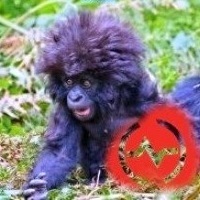 OneBerninG