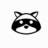 r4ccoon