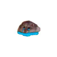 dermovochka