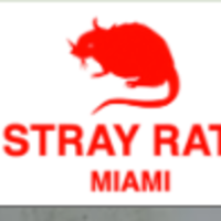 Rat Girl Clothing & Stray Rats Streetwear | Stray Rats Girl
