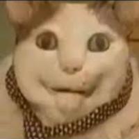 Дима Михайлов