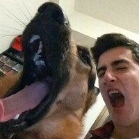 Frankie