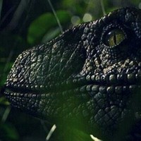 Jurassicraptor101