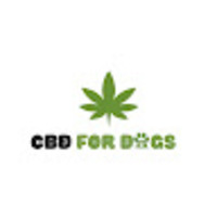 CBD For Dogs
