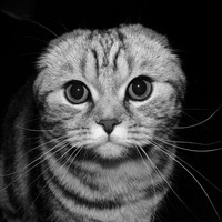 Степан Мельников