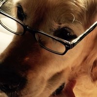 Discodog99Will