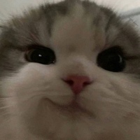 DG