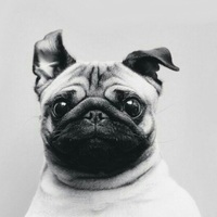 Даниал Сарсенгали