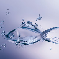 Fish Man