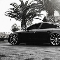 Никита Харитонов