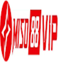 Miso88