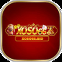 XOSO66 – Nhà Cái Cá Cược Hàng Đầu Việt Nam
