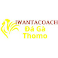 Đá Gà Trực Tiếp Thomo