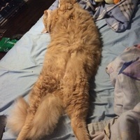 Zachary